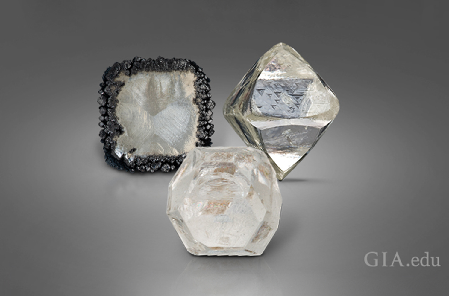 Laboratory-grown CVD rough diamond (left), laboratory-grown HPHT rough diamond (middle) and natural rough diamond (right). (Image Source: GIA.edu)