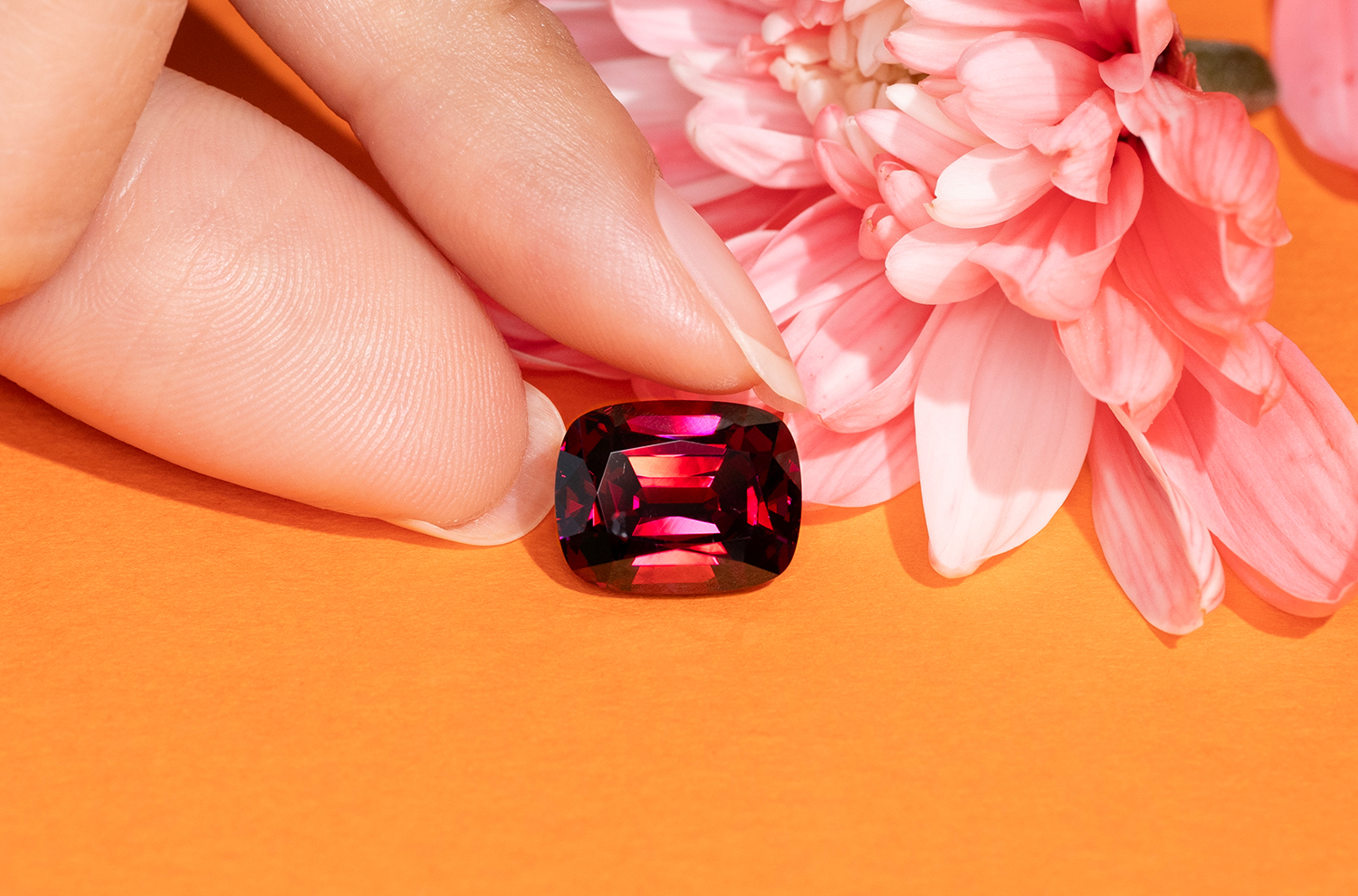 A nicely proportioned, almost 8 carat deep red cushion-cut Garnet is place on an orange background with a pink flower on the side white the tips of the model's fingers are there to show relative size.