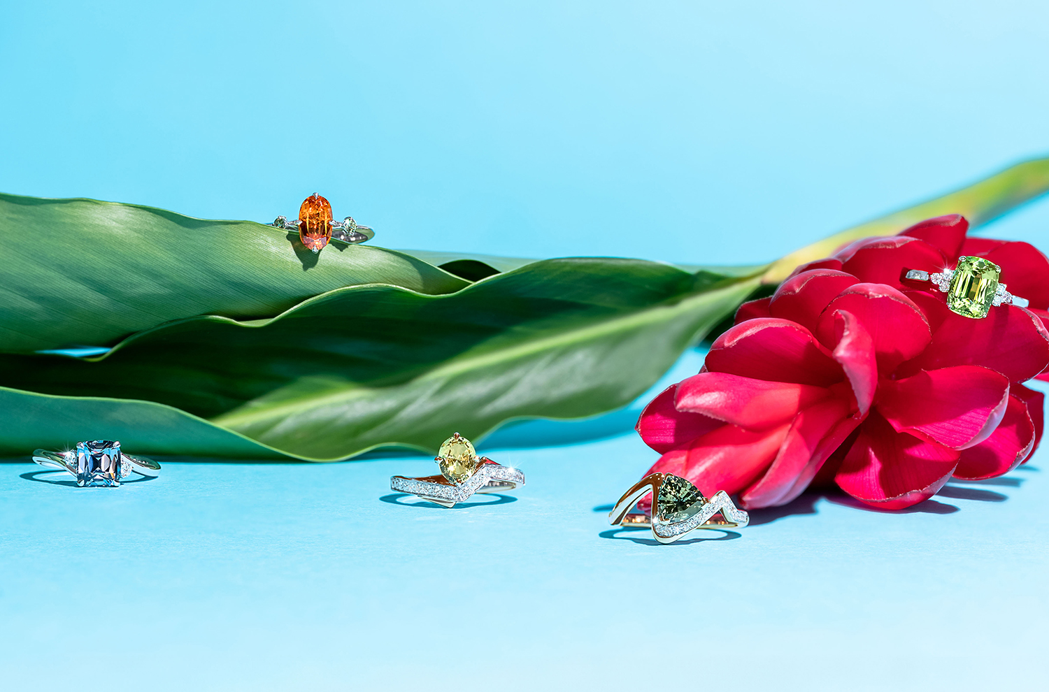 Five distinct engagement rings, each featuring unique styles and main gemstones, set against a blue backdrop and a vibrant red flower.