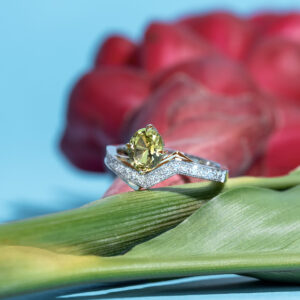 Mali Garnet Ring with Two-Toned Gold
