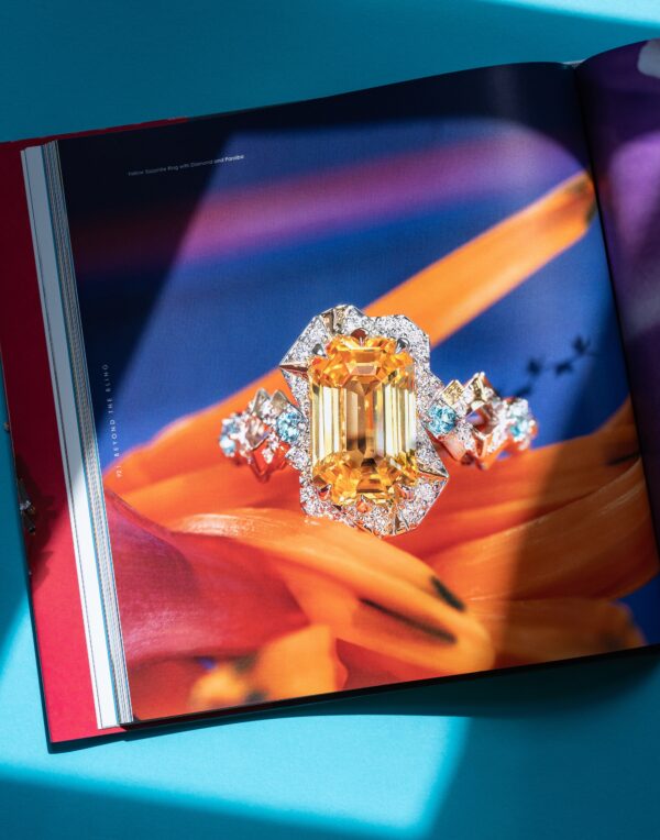 'Beyond the Bling' Coffee Table Book - Image 5