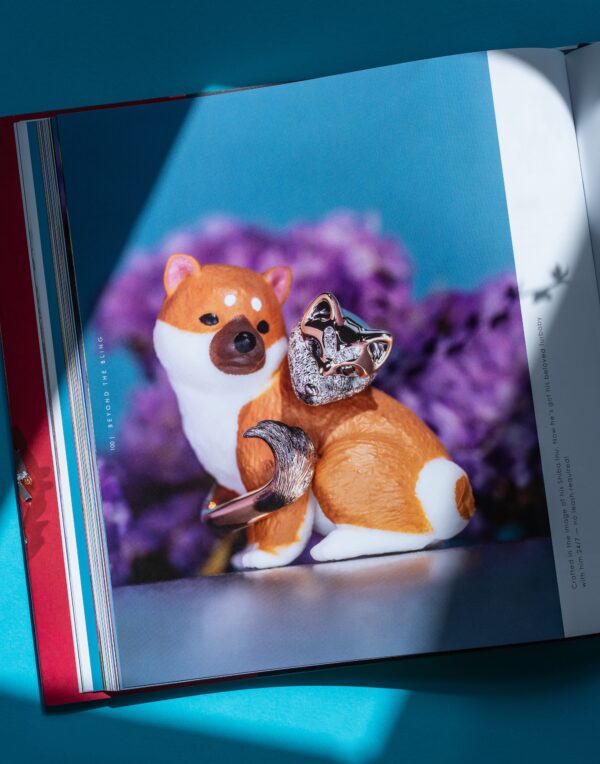'Beyond the Bling' Coffee Table Book - Image 6